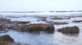 Great White Egret seen as tide waves break on the sandy beach of Mediterranean Sea in winter