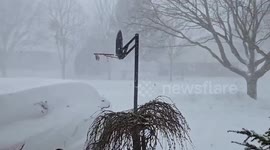 Canada: Violent Winter Storm Disrupts Stratford As Near Whiteout Conditions Hit