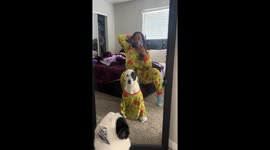 Dog Not Excited to Match Pajamas with Mom