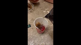 How to Drink Tea With a Big Nose