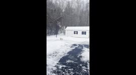 Golden Retriever Basketball!