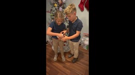 Twins burst into happy tears after learning mum is expecting—Heartwarming clip surpasses 2M views