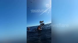 Massive whale appears beside freedivers in feeding frenzy