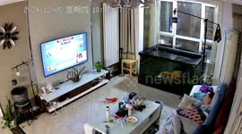 Fish jumps out of aquarium in unexpected mishap – Tianjin, China