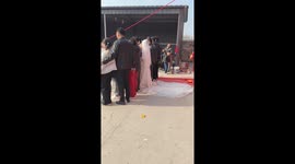 Playful pug photobombs wedding pictures in Jiangsu, China