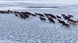 China: New Year’s Eve celebrations unfold across China to welcome 2026
