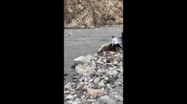 Herders use terrifying but traditional technique to get yaks across icy river
