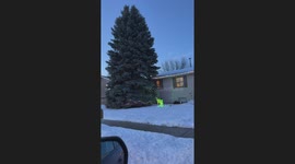 Simple but Effective