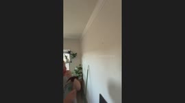 Nail Bouncing Out of Wall