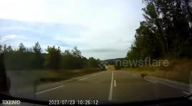 Deer Crossing Alert! Close Call Caught on Dashcam in Rural France