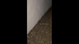 A Surprise Party That Was Not So Surprising