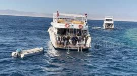 Red Sea draws divers with colorful underwater ecosystem