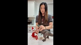 An Accurate Representation of Brushing My Kids’ Teeth Every Night