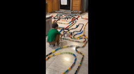 Husband tells wife to nap while sick and Builds Impressive Domino Chain Reaction at Home in Bethlehem Township with kids to entertain them.