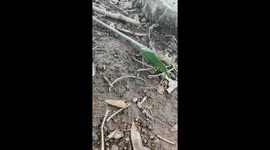 found something incredible in my field today.