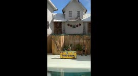 Amphitheater Bird Show