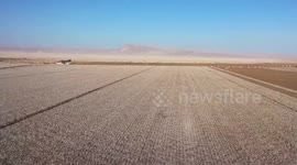 China: China's Xinjiang sees record cotton output in 2025