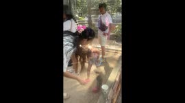 Playful lemur clings onto young girl's hair as parents can't help but laugh