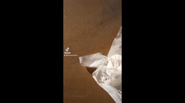 A funny way, or analogy, for getting over addiction; just toss it.