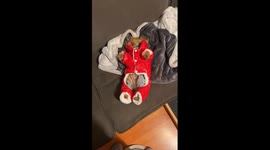 Bundled-Up Gizmo Is Ready To Go