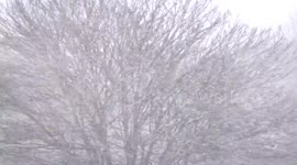 UK: Snow and Ice Warnings Issued for Much of the Country