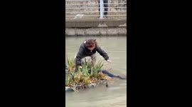 Stray dog rescued from the river in Shanghai, China