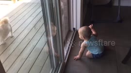 Phone camera accidentally records woman's hilarious reaction after seeing spider