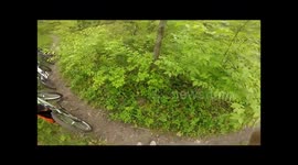 New Sport Tree Bending Go Pro POV