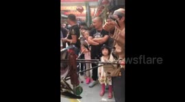 安徽淮北：大师训练神鸟 见钱眼开