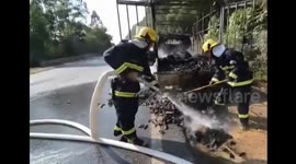 Thousands of ducklings killed in lorry fire