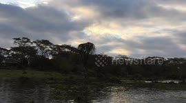 Eagle fishing in south africa