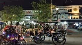 Horse-Drawn Coaches Remain a Key Sight on Busy Streets of Yogyakarta