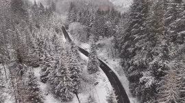 Gortin Glen Forest Park Snow Scene - Snow Flurries Over Forest - Jan 3rd 2025