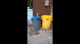 Worker discovers bin overflowing with maggots in stomach‑turning scene in Key West, Florida