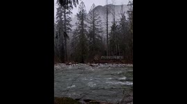 Serenity on The Sauk River in the Cascades Mountains