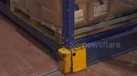 Ireland: Irish businesses expect PM's China visit to expand market access