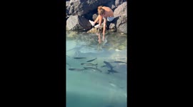 Traveller hand‑feeds wild stingray in the Canary Islands