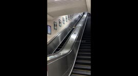 Corgi hilariously struggles on a downward escalator, Hubei, China