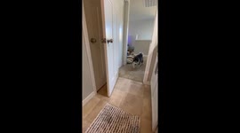 Playful Siberian Husky jumps in bathtub in Seattle, Washington, USA