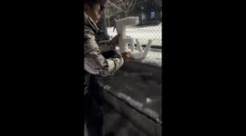 Chinese student shaped “LOVE” from snow during a winter day on campus