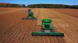 China: China makes solid progress in rural modernization in 2025