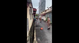 Firemen battle to capture escape cow in street in Malaysia