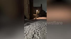 Two foxes play with a snowman in adorable winter scenes