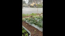 Heavy rainfall floods residential streets in California, USA