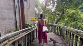 Wild monkey grabs woman's skirt and refuses to let go