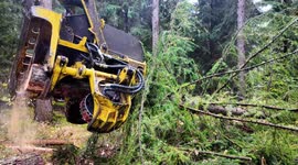 4K 60fps Slow Motion – John Deere Harvester Manipulating Larch Tree with Waratah H415 | Close-Up Forestry Footage