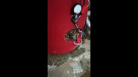 During a routine maintenance check on an industrial water boiler, a sudden electrical short circuit occurred at the heating element connection. The malfunction caused bright sparks and a fire hazard, demonstrating the dangers of industrial equipment failu