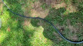 US: Water surprise from garden hose
