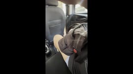 Sneaky Chihuahua Hides In Bag During Rideshare