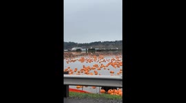 When Pumpkins Start Floating